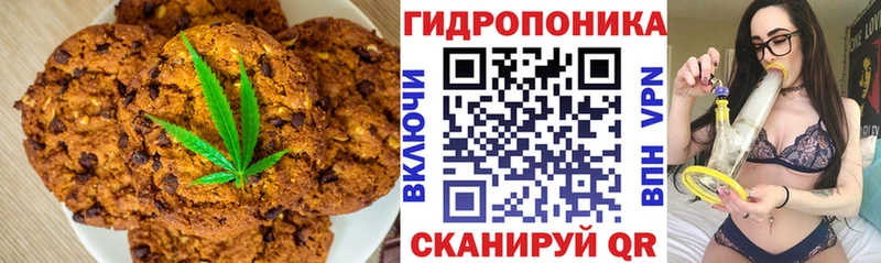 Canna-Cookies марихуана  мега онион  нарко площадка официальный сайт  Новоалтайск 