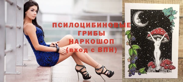 спиды Алексеевка