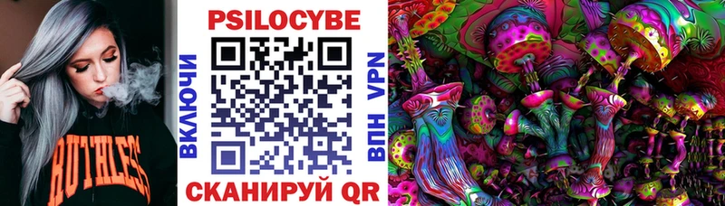 цены наркотик Новоалтайск Псилоцибиновые грибы Psilocybe